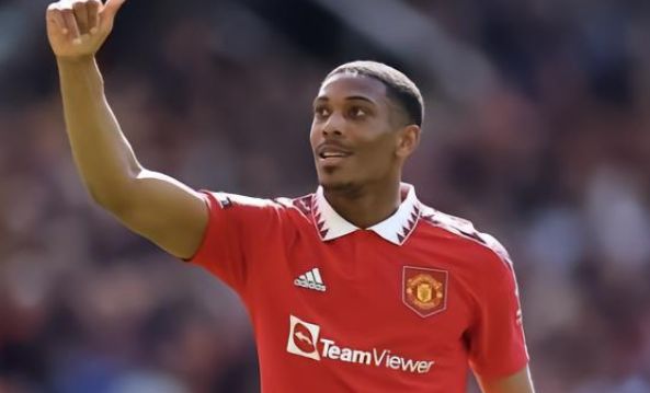 僅說明他作 僅說明他作